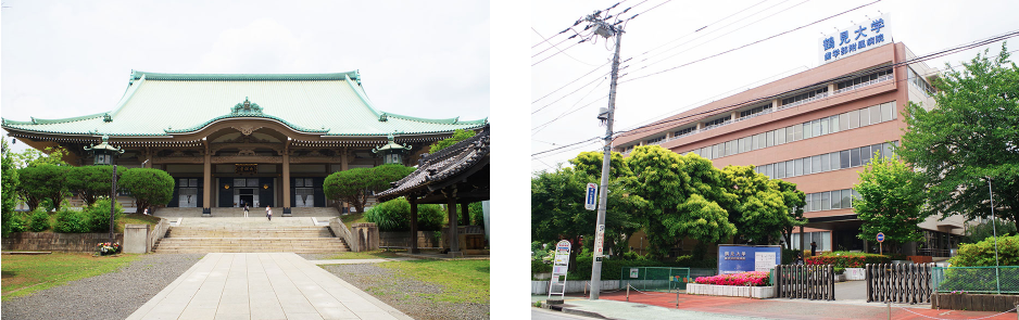 ステラ月見ヶ丘６_Stella Tsukimigaoka .png