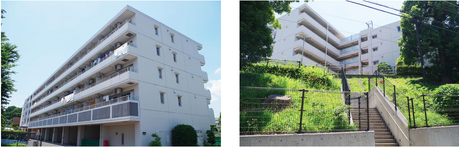 ステラ月見ヶ丘５_Stella Tsukimigaoka.png